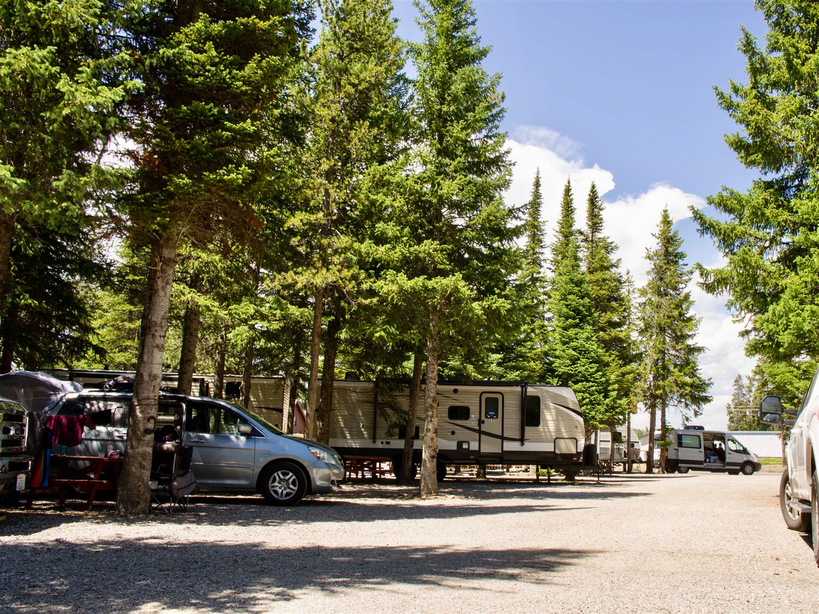 Tree-shaded full-hookup RV campsites at Wagon Wheel RV Park in West Yellowstone